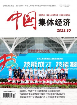 中國集體經濟期刊